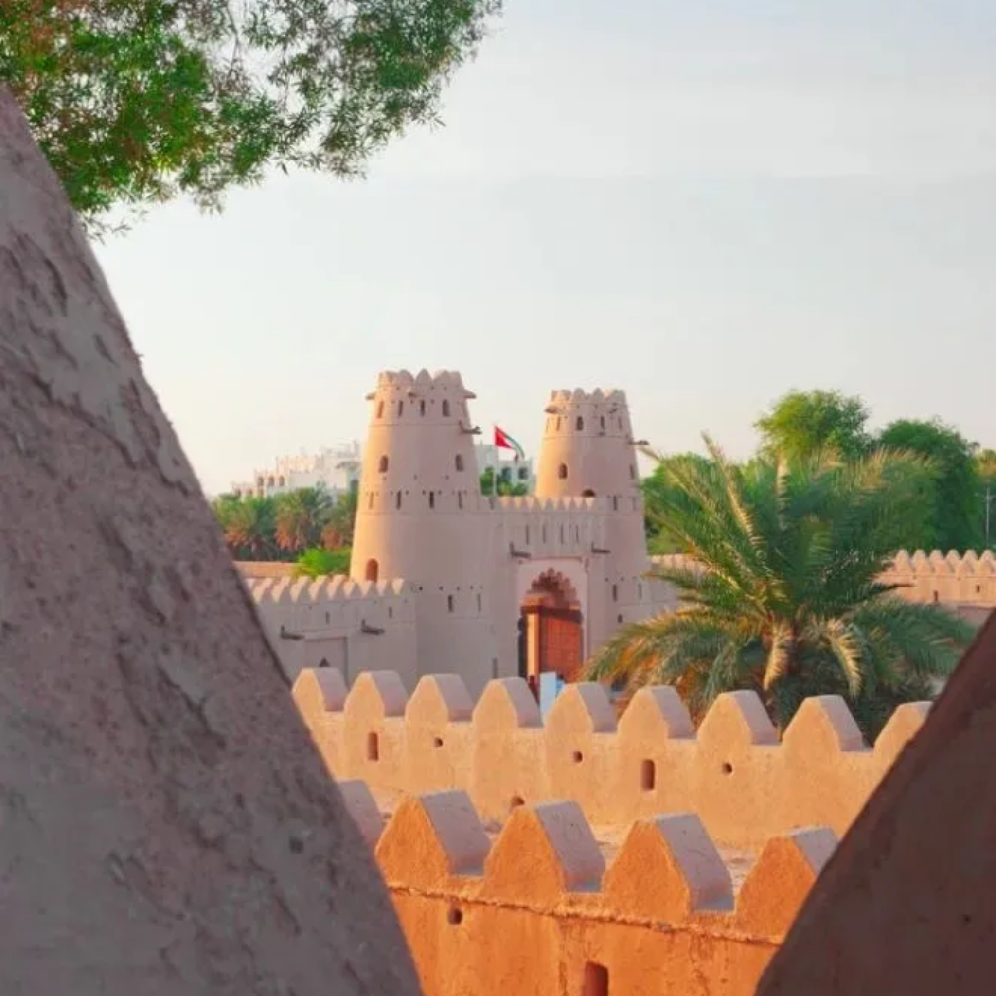 AL AIN OASIS