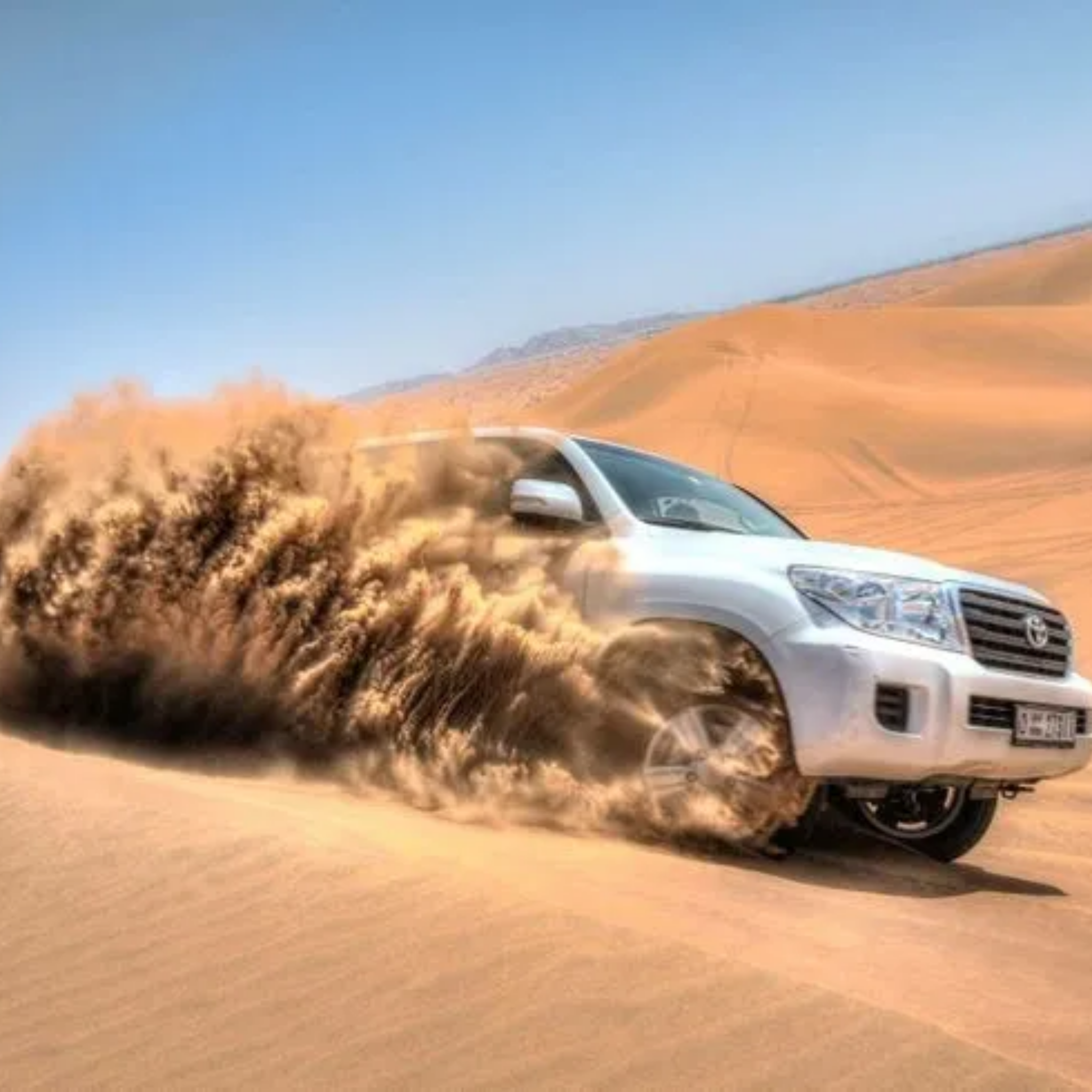 DESERT SAFARI